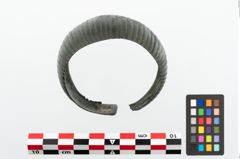 Foto von Bronzemelonenarmreif (NHMW-PRAE-025388)